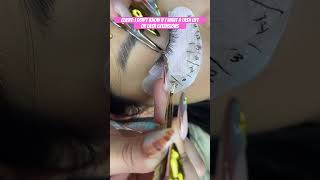 Lash Lift or Lash Extensions lashinspo lashes wispylashes megavolumelashes viralvideo lash [upl. by Ahseniuq973]