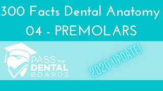 300 Facts Dental Anatomy  04 PREMOLARS UPDATED 2020   INBDE NBDE [upl. by Fogel]