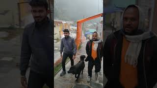 first Village of india Mana tour with Dog travel mana mountains indianvillage song shorts [upl. by Martinic]