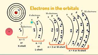 Shells Subshells and Orbitals l Understand the difference [upl. by Ainitsirhc772]