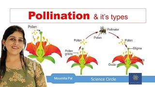 Self amp Cross Pollination  Sexual Reproduction in Plants II Agents of Pollination II [upl. by Mello619]