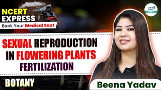 Easily Understand Fertilization in Flowering Plants  NEET Biology  📚 NCERT Line By Line [upl. by Htebesile]