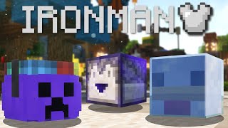 Collecting all the EASY talismans on IRONMAN Hypixel Skyblock [upl. by Cheyney]