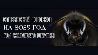 СЛАВЯНСКИЙ ГОРОСКОП НА 2025 ГОД ПО ГОДАУ РОЖДЕНИЯ КТО ТЫ ПО СЛАВЯНСКОМУ ГОРОСКОПУ [upl. by Aniles]