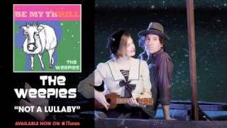 The Weepies  Not A Lullaby Audio [upl. by Ahsratal761]