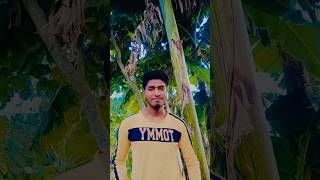 Janam Janam Tumi Amar thakbo pashe Ami Tomar lovesong banglamusic [upl. by Alor]