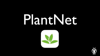 TUTO PLANTNET [upl. by Neb]