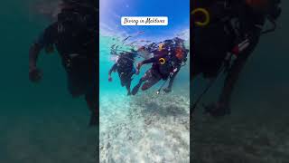 1st Dive Adventure in the Stunning Milaidhoo Maldives  Insta360 X4 🌊🐠 [upl. by Otrebla]