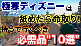 解説20232024冬ディズニーは舐めたら終わる忘れたら困る必需品10選！ [upl. by Edylc]