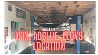 Peugeot 16 Bluehdi  hdi Adblue Nox DPF amp Eloys location guide [upl. by Matthus]