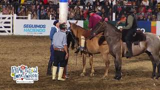 Jineteadas de caballos Festival de Doma y Folklore de Jesús María 2023 noche 7 [upl. by Herzog617]