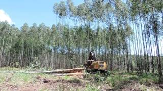 Feller Buncher 870C  Corte Área Expoforest 2018 [upl. by Doughman]