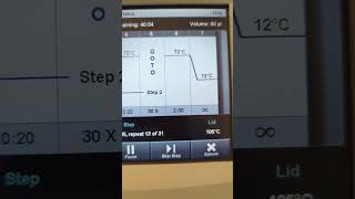 PCR Reaction in progress science biotechnology polymerasechainreaction [upl. by Nicholl]