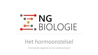 Het hormoonstelsel  hormonale regulatie van de stofwisseling II  HAVOVWO [upl. by Nosreg]