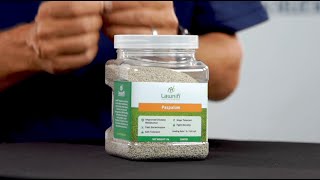 The Best Paspalum Grass Seed [upl. by Arvy]