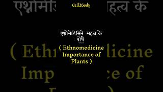 Ethenomedicine importance of plants [upl. by Eikcim]