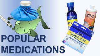 Fish Disease Treatment  Popular Medications For Fish Diseases  Medications For Sick Fish [upl. by Aikimat884]