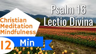 Psalm 16 Lectio Divina Mindful Guided Christian Meditation [upl. by Ahab30]