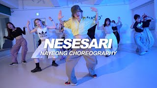 Kizz Daniel  Nesesari  Nayeong Choreography [upl. by Baler668]