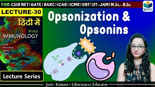 Immunology  Opsonization amp Opsonin  Lecture 30 [upl. by Oad]