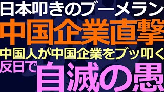 0310 日本的デザインを使っただけで袋叩き！株価も暴落って… [upl. by Ellenuahs]