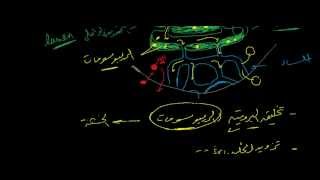 الشبكة الاندوبلازمية  Endoplasmic reticulum [upl. by Merc]