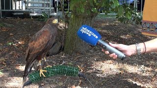 Średniowieczna wioska stanęła w Jasienicy [upl. by Ahserb]