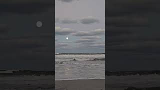 Stunning moon rise Florida Beach  The Beaver Moon Lunar Celestial event [upl. by Rosinski]