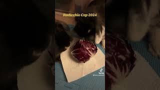 Radicchio Cup 2024 [upl. by Akahc]