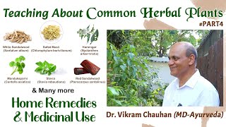 Part4 Common Healing Plants Home Remedies How To Grow amp Medicinal Uses by Dr Vikram Chauhan [upl. by Aseen]