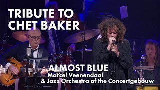 Almost Blue by Marcel Veenendaal amp Jazz Orchestra of the Concertgebouw Tribute to Chet Baker [upl. by Haskel895]