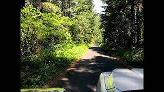 Gifford Pinchot National Forest  Sounds of the Night 16 [upl. by Nuawad]