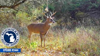 Bow Hunting Gun Hunting Bragging Board Michigan Out of Doors TV 2444 [upl. by Nagear]