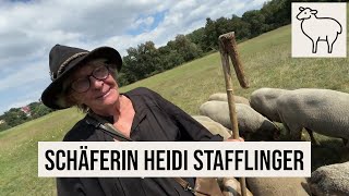 16082024 Nürnberg Schäferin amp Biologin Heidi Stafflinger Landschaftspflege Gebersdorf Rotkopfschaf [upl. by Airehs]