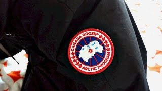 CANADA GOOSE MAITLAND BROMLEY amp CONSTABLE JACKET 2016 REVIEW [upl. by Noyr]