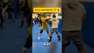 LA PEGADA DE ALEX ES BRUTAL🥊 kickboxing mma peleadebox ufc kickboxer striking sparring box [upl. by Leesa803]