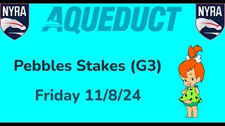 Aqueduct Friday 11824 Selections  Full Card [upl. by Seem811]