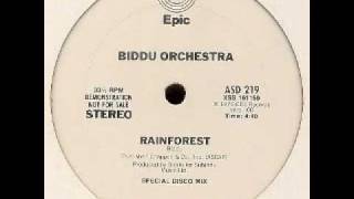 Biddu Orchestra  Rain Forest [upl. by Randolf729]