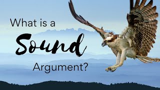 What is a Sound Argument  Deductive Soundness Explained [upl. by Haughay]