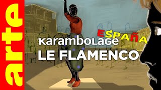 Le flamenco  Karambolage España  ARTE [upl. by Susejedairam427]