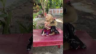 Adorable Family Monkey TanTan Marry [upl. by Nitsej]