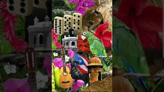 Música navideña puertorriqueña mix completo con las mejores canciones navideñas a lo boricua🇵🇷🎄🎆🧨🎶 [upl. by Ghassan]