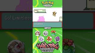 TAKING ON OUR FOURTH GYM  Pokémon Emerald Hardcore Randomized Nuzlocke pokemon nuzlocke [upl. by Anelliw]