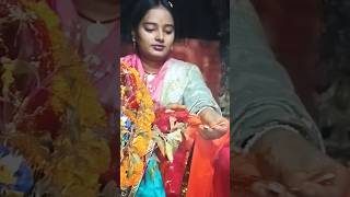 कार्तिक में तुलसी पूजन का महत्व  tulsi kartik viralvideoshortvideo shorts bhakti tulsivivah [upl. by Lehcir]