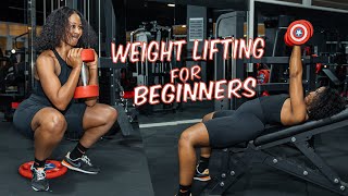 Beginners Guide to Weightlifting  Essential Exercises for the Gym Dumbells [upl. by Tamra940]