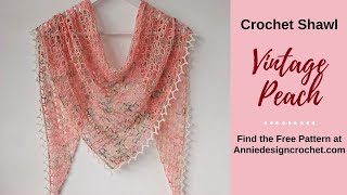 One Skein Crochet Triangle Shawl Vintage Peach [upl. by Nerred]