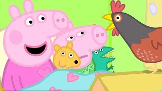 Peppa Pig Meets Granny Pigs Chickens  Peppa Pig Official Family Kids Cartoon [upl. by Natanhoj]