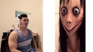 THE MOMO CHALLENGE  SONG REACTION [upl. by Atteinotna]