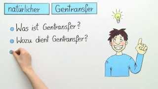 Transfer der Gene  Biologie  Genetik [upl. by Yorled]