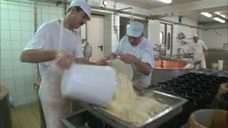 La fabrication du fromage un vrai travail dalchimiste [upl. by Nork]